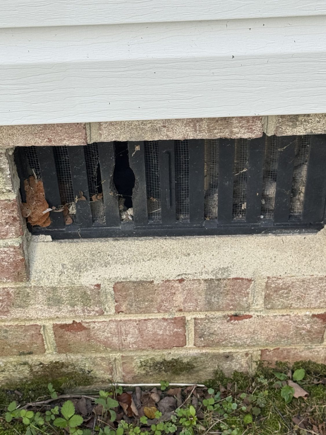 Damaged foundation vent in a brick wall, a common pest entry point