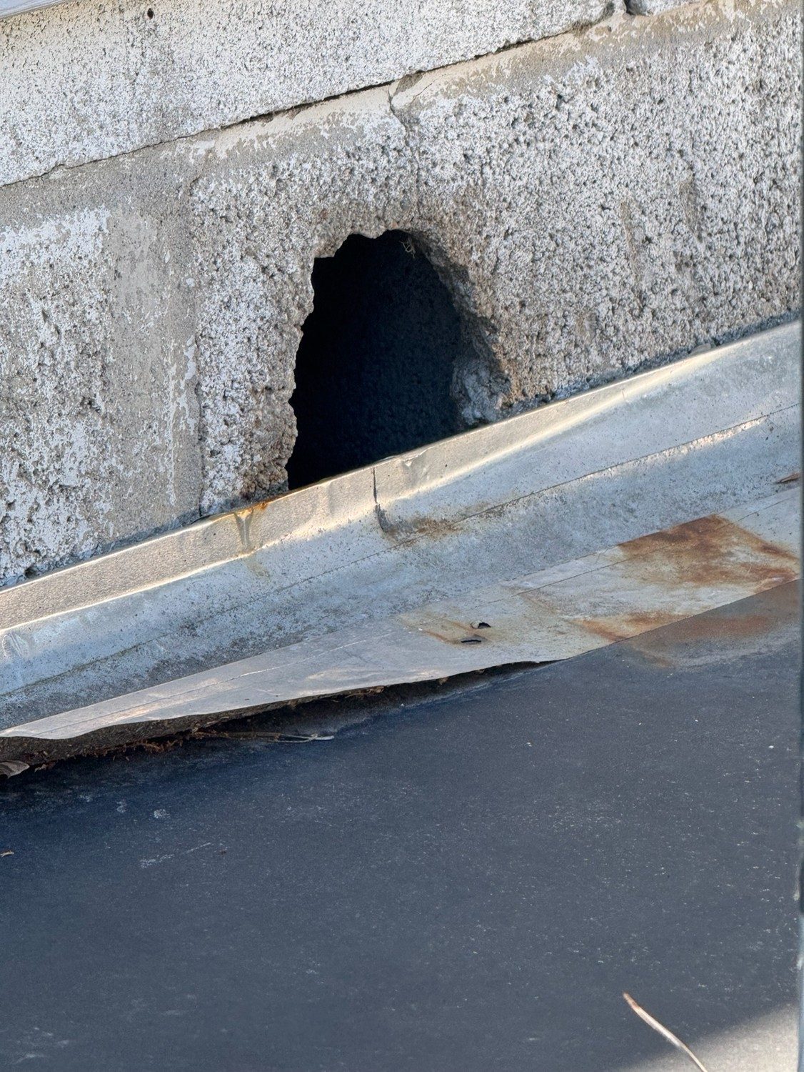 Hole broken through a block foundation wall where rodents entered