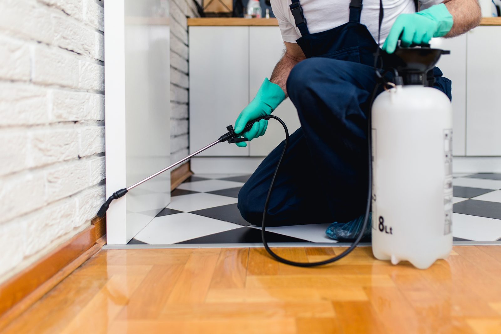 Pest control technician treating baseboards during move-in treatment