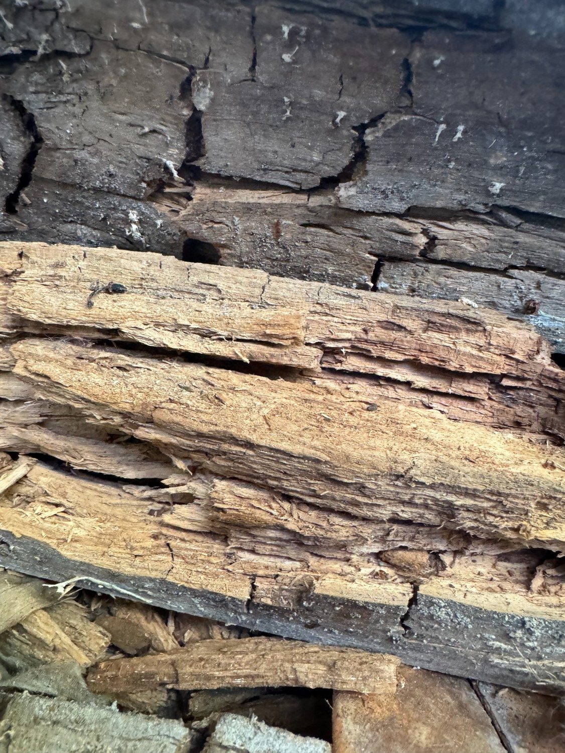 Cracked and deteriorated wood framing found during a WDI inspection